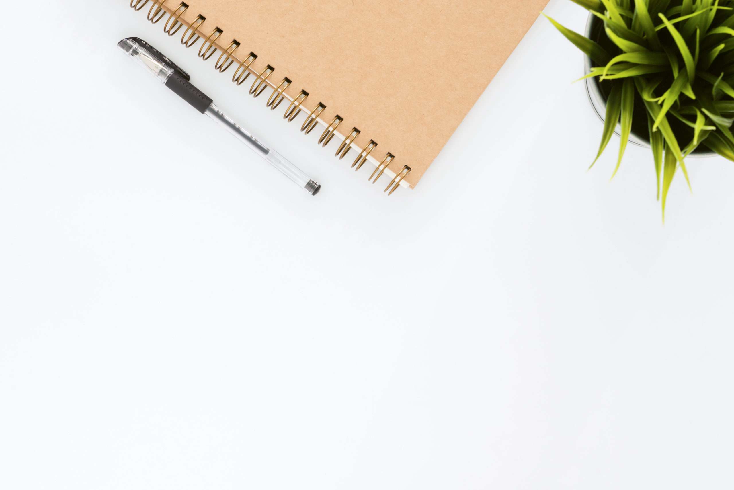 formation en orthographe éligible CPF