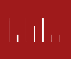 Visuel Biographie