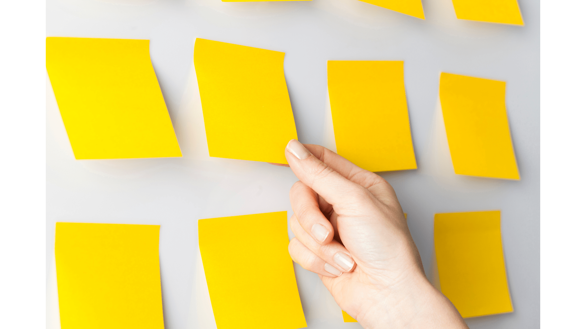 Formation orthographe entreprise